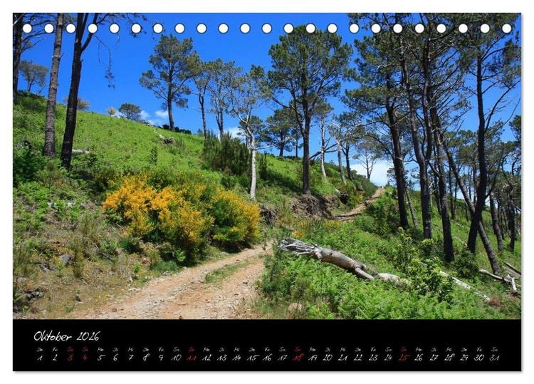 Produktbild: Madeira (Tischkalender 2026 DIN A5 quer), CALVENDO Monatskalender