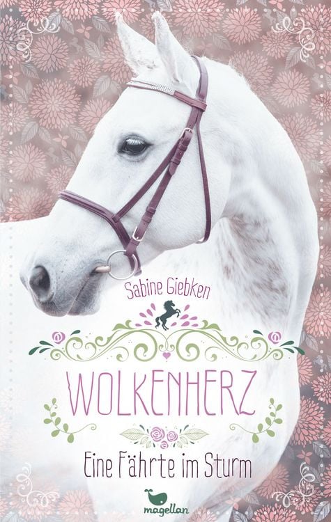 Produktbild: Wolkenherz - Eine F&auml;hrte im Sturm