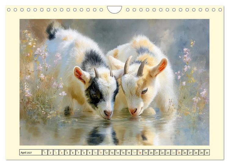 Produktbild: Zwergziegen. Kleine Wirbelwinde im Sonnenschein (Wandkalender 2027 DIN A4 quer), CALVENDO Monatskalender