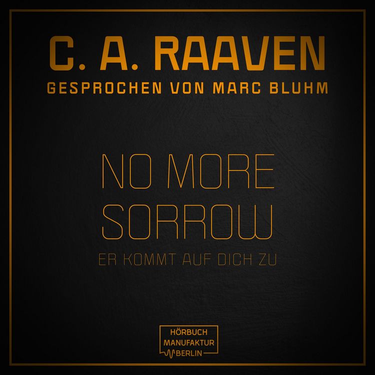 Produktbild: No more sorrow