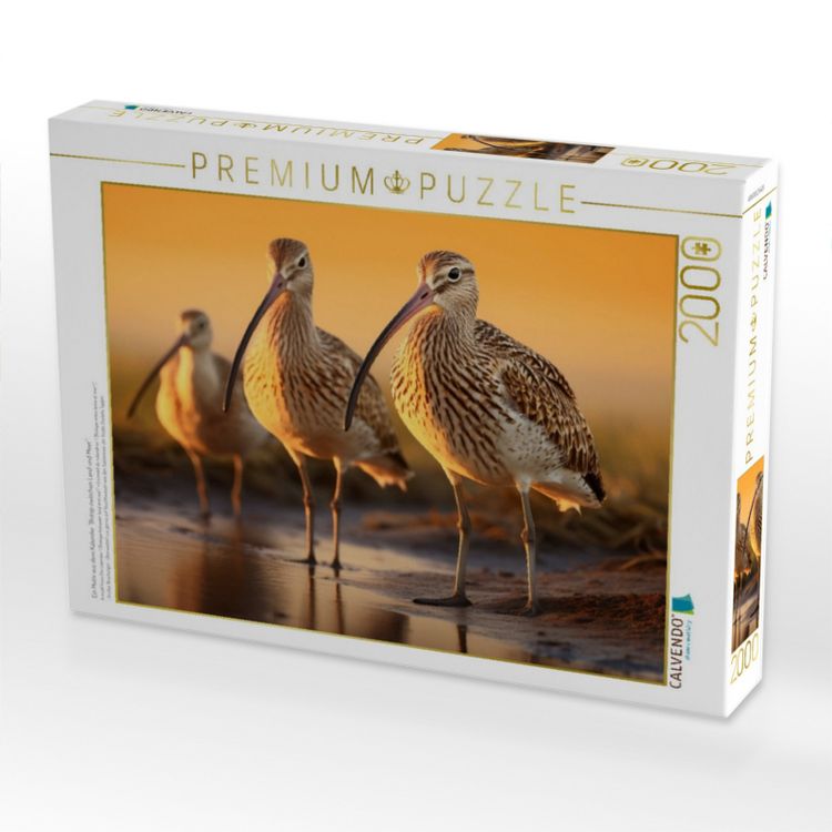 Produktbild: CALVENDO Puzzle Ein Motiv aus dem Kalender "Biotop zwischen Land und Meer" | 2000 Teile Lege-Gr&ouml;&szlig;e 90x67cm Foto-Puzzle f&uuml;r gl&uuml;ckliche Stunden