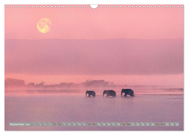 Produktbild: Vollmond - Momente der Ruhe (Wandkalender 2026 DIN A3 quer), CALVENDO Monatskalender
