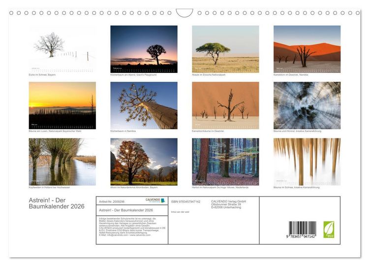 Produktbild: Astrein! - Der Baumkalender 2026 (Wandkalender 2026 DIN A3 quer), CALVENDO Monatskalender