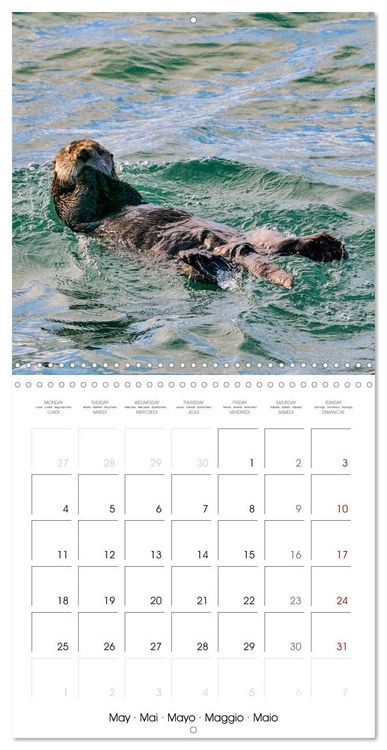 Produktbild: Wildlife in Alaska (Wall Calendar 2026 12 &times; 12 Inch) CALVENDO 12 Month Wall Calendar