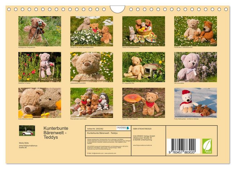 Produktbild: Kunterbunte B&auml;renwelt - Teddys (Wandkalender 2026 DIN A4 quer), CALVENDO Monatskalender
