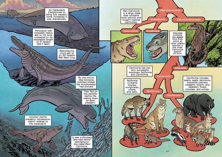 Produktbild: Science Comics: Prehistoric Mammals