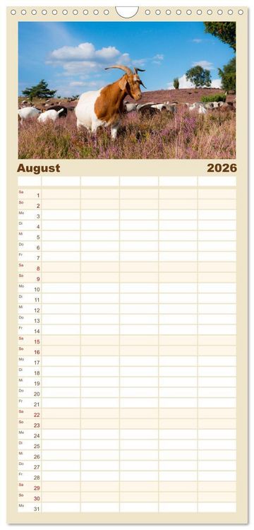 Produktbild: Familienplaner 2026 - Geliebte Tiere auf dem Bauernhof mit 5 Spalten (Wandkalender, 21 x 45 cm) CALVENDO