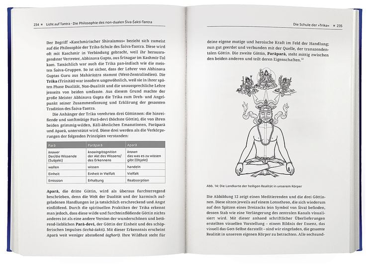 Produktbild: Licht auf Tantra