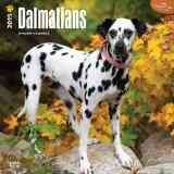 Produktbild: Dalmatians 2015 - Dalmatiner