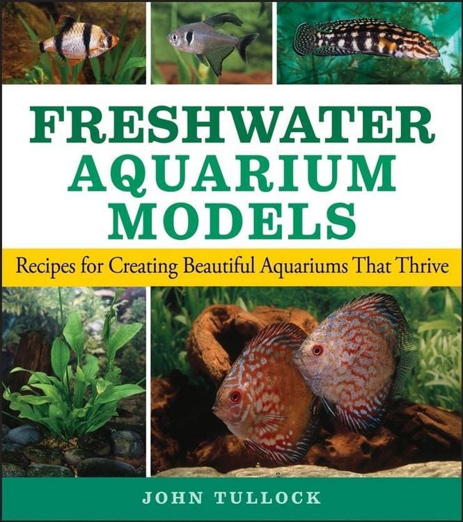 Produktbild: Freshwater Aquarium Models