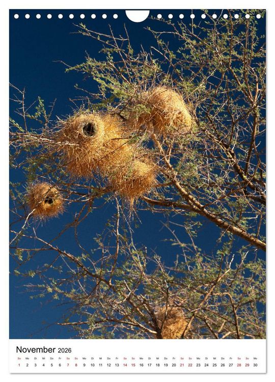 Produktbild: Naturparadies Namibia (Wandkalender 2026 DIN A4 hoch), CALVENDO Monatskalender