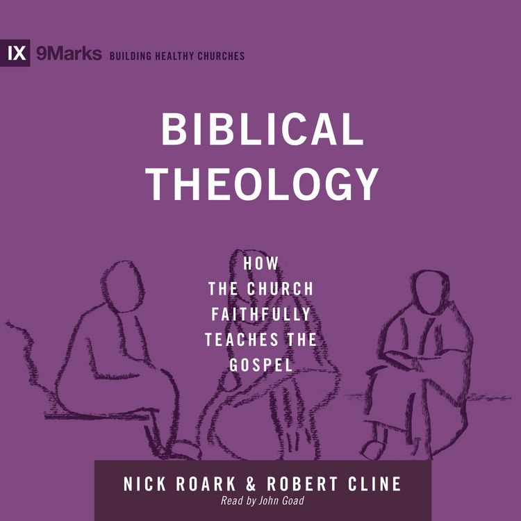 Produktbild: Biblical Theology