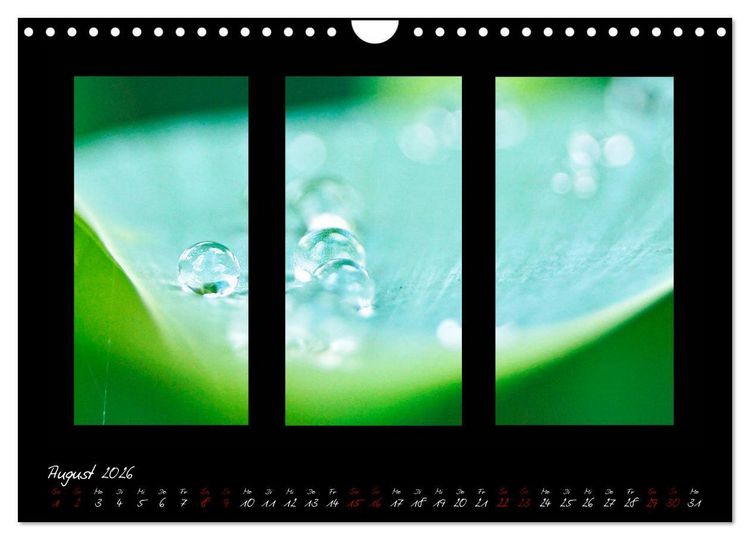 Produktbild: Die Kunst der Natur - Dreifach Stilvoll (Wandkalender 2026 DIN A4 quer), CALVENDO Monatskalender