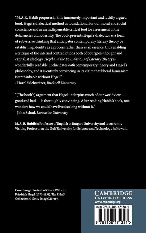 Produktbild: Hegel and the Foundations of Literary Theory