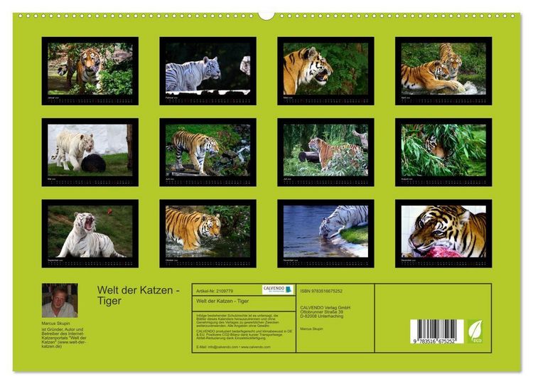 Produktbild: Welt der Katzen - Tiger (hochwertiger Premium Wandkalender 2026 DIN A2 quer), Kunstdruck in Hochglanz