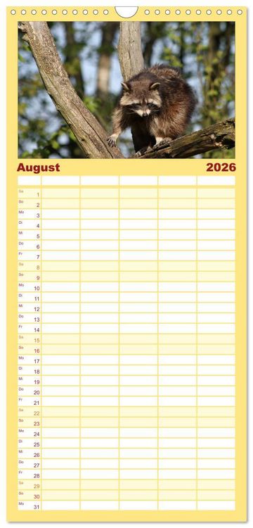 Produktbild: Familienplaner 2026 - Waschb&auml;ren mit 5 Spalten (Wandkalender, 21 x 45 cm) CALVENDO