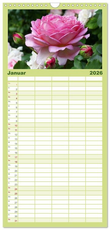 Produktbild: Familienplaner 2026 - Rosen Reigen im Garten mit 5 Spalten (Wandkalender, 21 x 45 cm) CALVENDO
