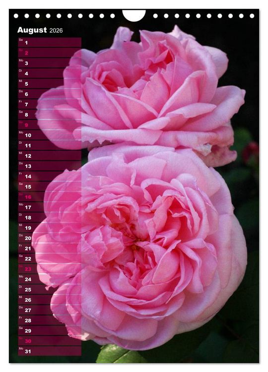 Produktbild: Rosen f&uuml;r DICH / Geburtstagskalender (Wandkalender 2026 DIN A4 hoch), CALVENDO Monatskalender
