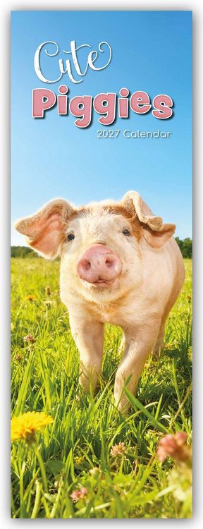 Produktbild: Cute Piggies &ndash; S&uuml;&szlig;e kleine Schweinchen &ndash; Slimline-Kalender 2027