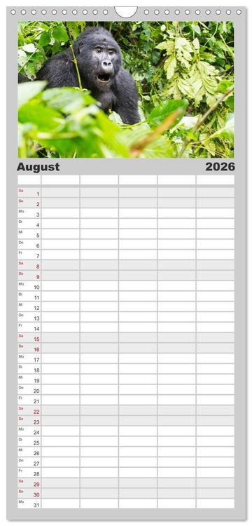 Produktbild: Familienplaner 2026 - Gorillas ohne Nebel mit 5 Spalten (Wandkalender, 21 x 45 cm) CALVENDO