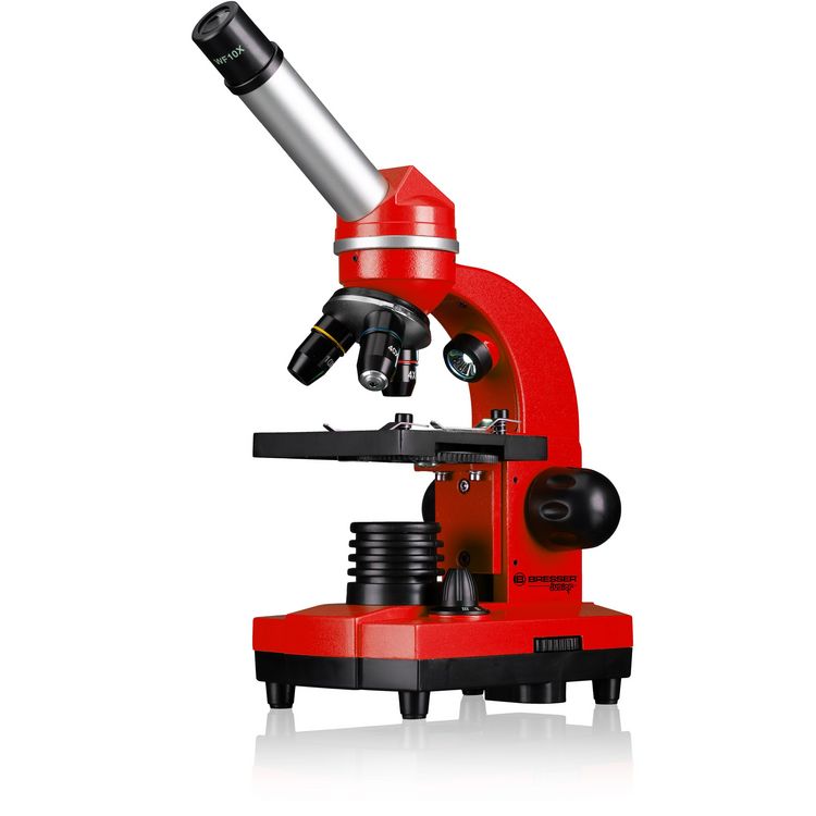 Produktbild: Bresser Junior 13522 - Sch&uuml;ler-Mikroskop Biolux SEL (rot), Auf- und Durchlichtmikroskop mit 40x-1.600-facher Vergr&ouml;&szlig;erung