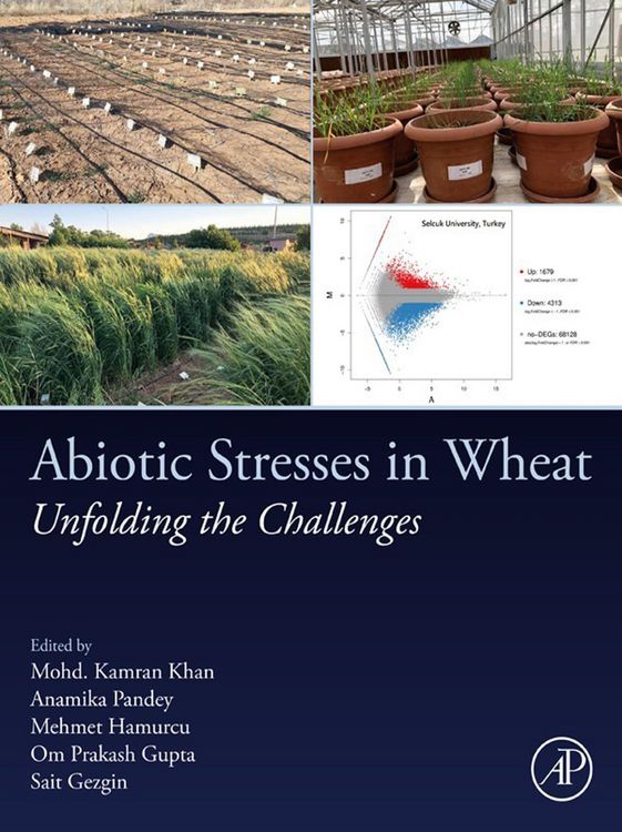Produktbild: Abiotic Stresses in Wheat