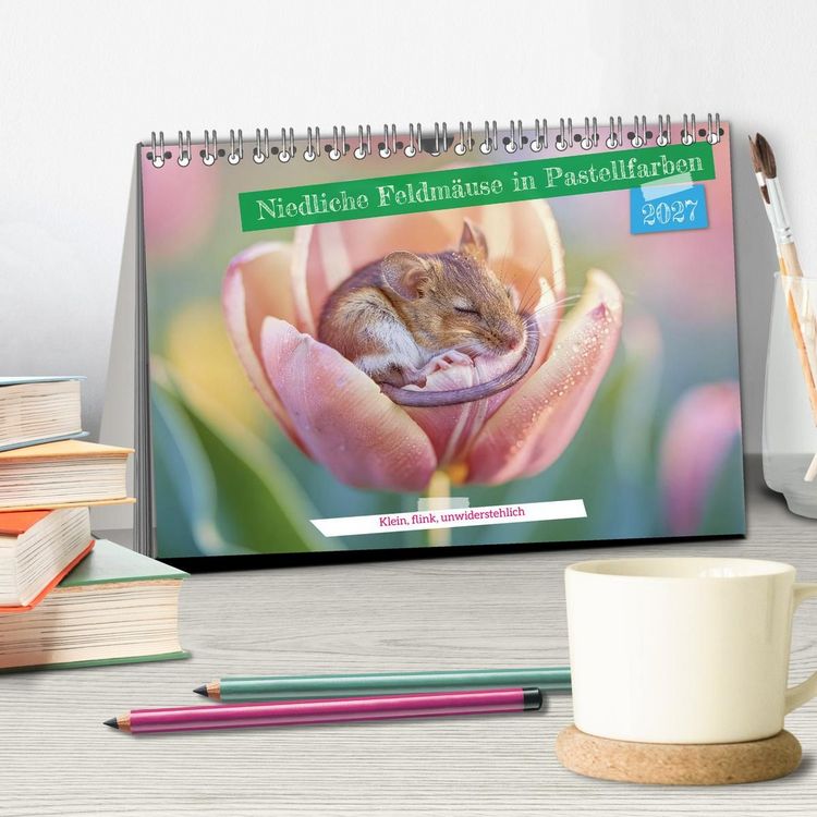 Produktbild: Niedliche Feldm&auml;use in Pastellfarben (Tischkalender 2027 DIN A5 quer), CALVENDO Monatskalender