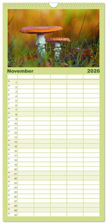 Produktbild: Familienplaner 2026 - Pilzmagie mit 5 Spalten (Wandkalender, 21 x 45 cm) CALVENDO