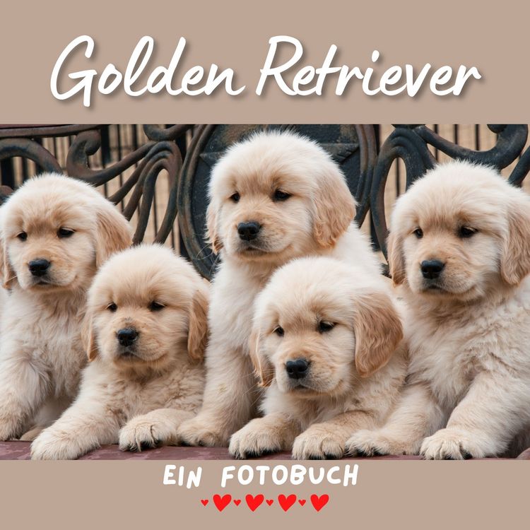 Produktbild: Golden Retriever