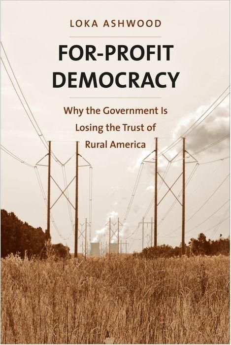 Produktbild: For Profit Democracy