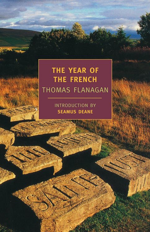Produktbild: The Year of the French