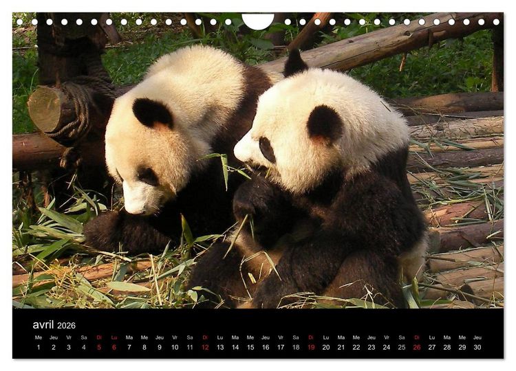 Produktbild: La Chine, Terre de merveilles (Calendrier mural 2026 DIN A4 vertical), CALVENDO calendrier mensuel