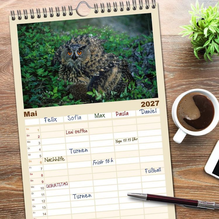 Produktbild: Familienplaner 2027 - Heimische Eulen und Greife mit 5 Spalten (Wandkalender, 21 x 45 cm) CALVENDO