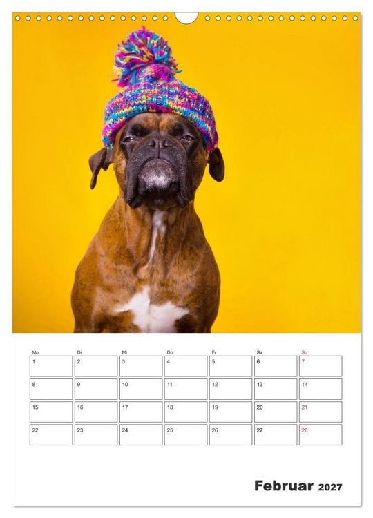 Produktbild: colorful world of boxer 2027 (Wandkalender 2027 DIN A3 hoch), CALVENDO Monatskalender