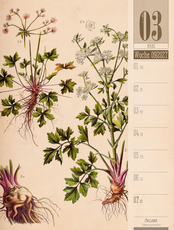 Produktbild: Culinarium Wochenplaner Kalender 2027 | K&uuml;che, Kr&auml;uter, Kurioses