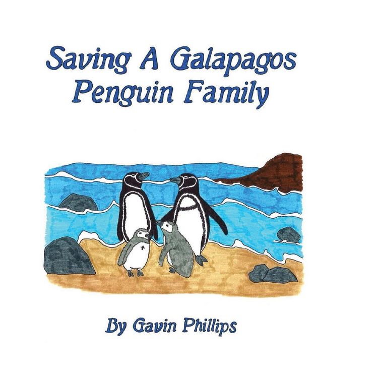 Produktbild: Saving a Galapagos Penguin Family