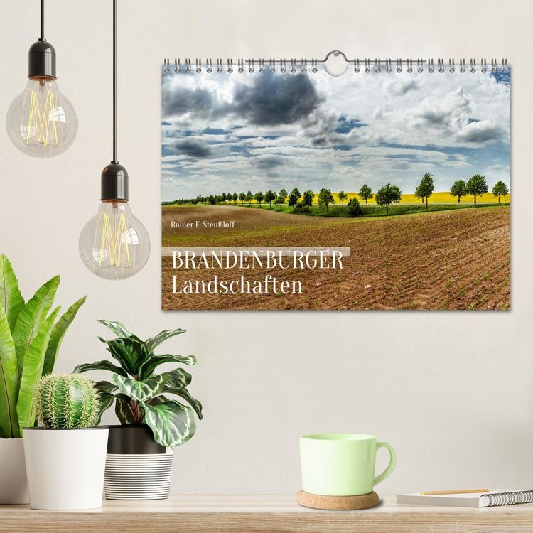 Produktbild: Brandenburger Landschaften (Wandkalender 2026 DIN A4 quer), CALVENDO Monatskalender