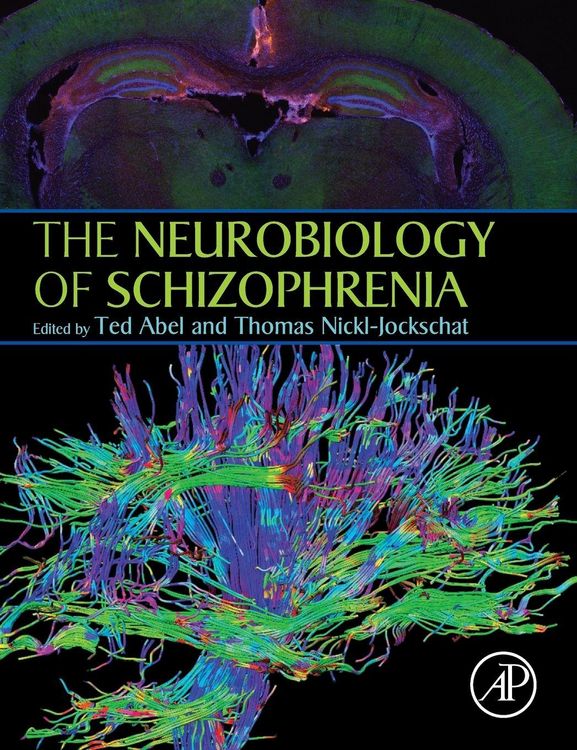 Produktbild: Neurobiology of Schizophrenia