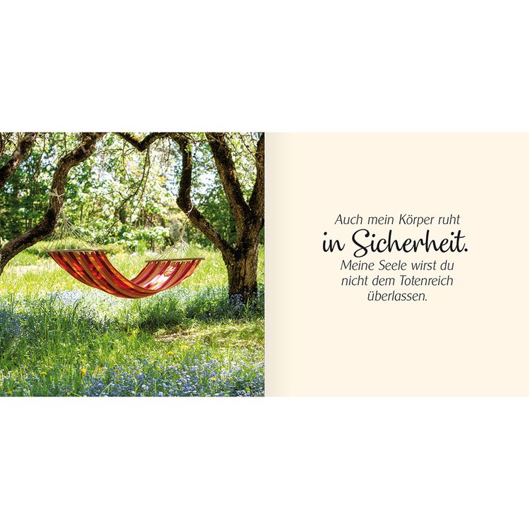 Produktbild: Ich schenke dir Psalm 16