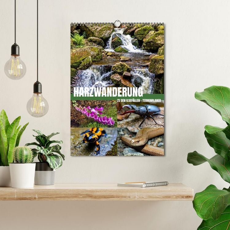 Produktbild: Harzwanderung zu den Ilsef&auml;llen - Terminplaner (Wandkalender 2026 DIN A3 hoch), CALVENDO Monatskalender
