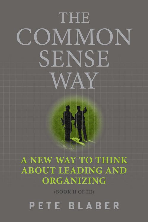 Produktbild: The Common Sense Way