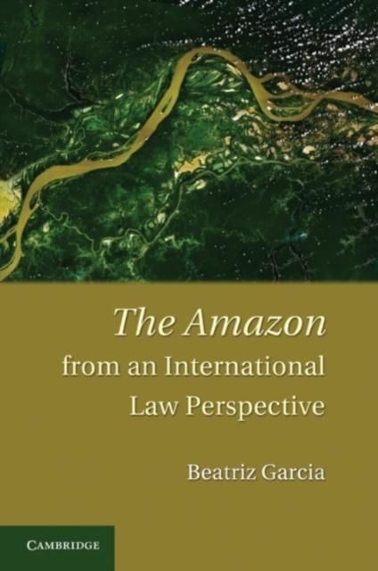 Produktbild: Amazon from an International Law Perspective