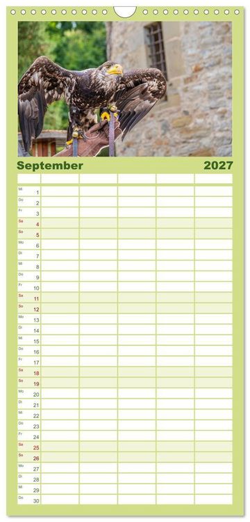 Produktbild: Familienplaner 2027 - Greifv&ouml;gel in Aktion - Dynamische Flugbilder und Portr&auml;ts mit 5 Spalten (Wandkalender, 21 x 45 cm) CALVENDO