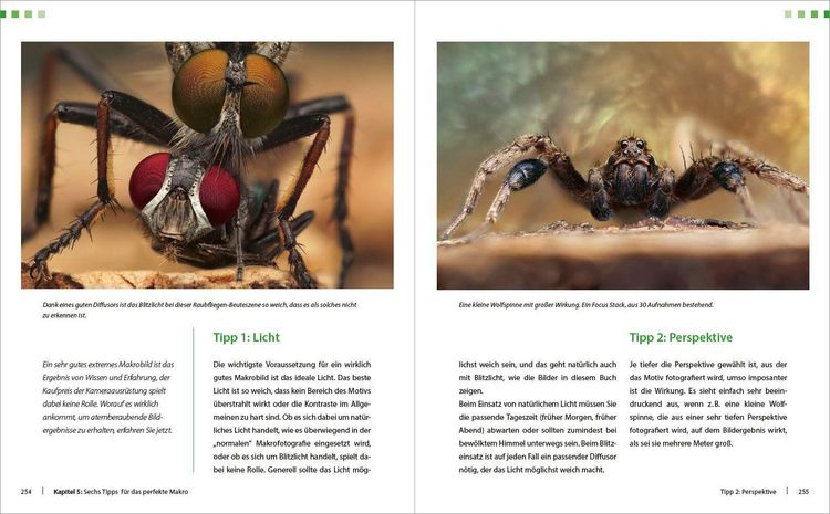 Produktbild: Extreme Wildlife-Makrofotografie