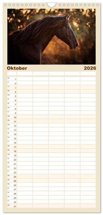 Produktbild: Familienplaner 2026 - Spiegel deiner Seele mit 5 Spalten (Wandkalender, 21 x 45 cm) CALVENDO