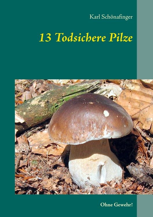 Produktbild: 13 Todsichere Pilze
