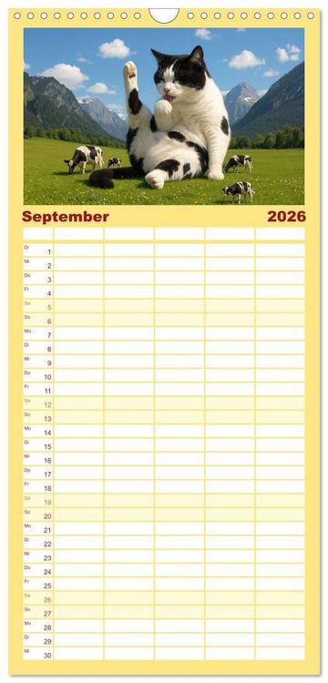 Produktbild: Familienplaner 2026 - Katzen Weltherrschaft mit 5 Spalten (Wandkalender, 21 x 45 cm) CALVENDO