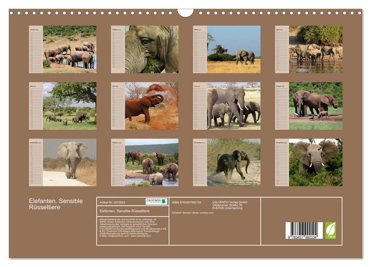 Produktbild: Elefanten. Sensible R&uuml;sseltiere (Wandkalender 2026 DIN A3 quer), CALVENDO Monatskalender