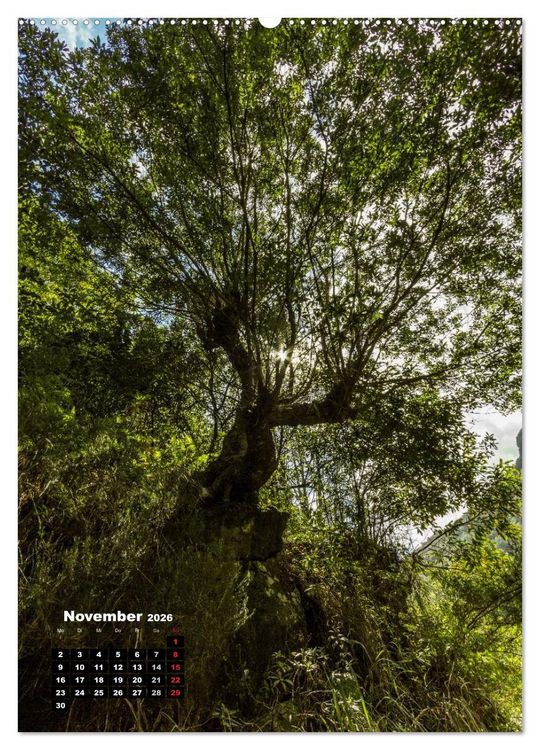 Produktbild: Levadas - Wasserwege auf Madeira (Wandkalender 2026 DIN A2 hoch), CALVENDO Monatskalender