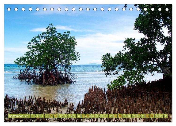 Produktbild: Mangroves - Valuable Habitat (Desk Calendar 2026 DIN A5 landscape), CALVENDO 12 Month DeskCalendar
